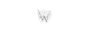 Waterzonic